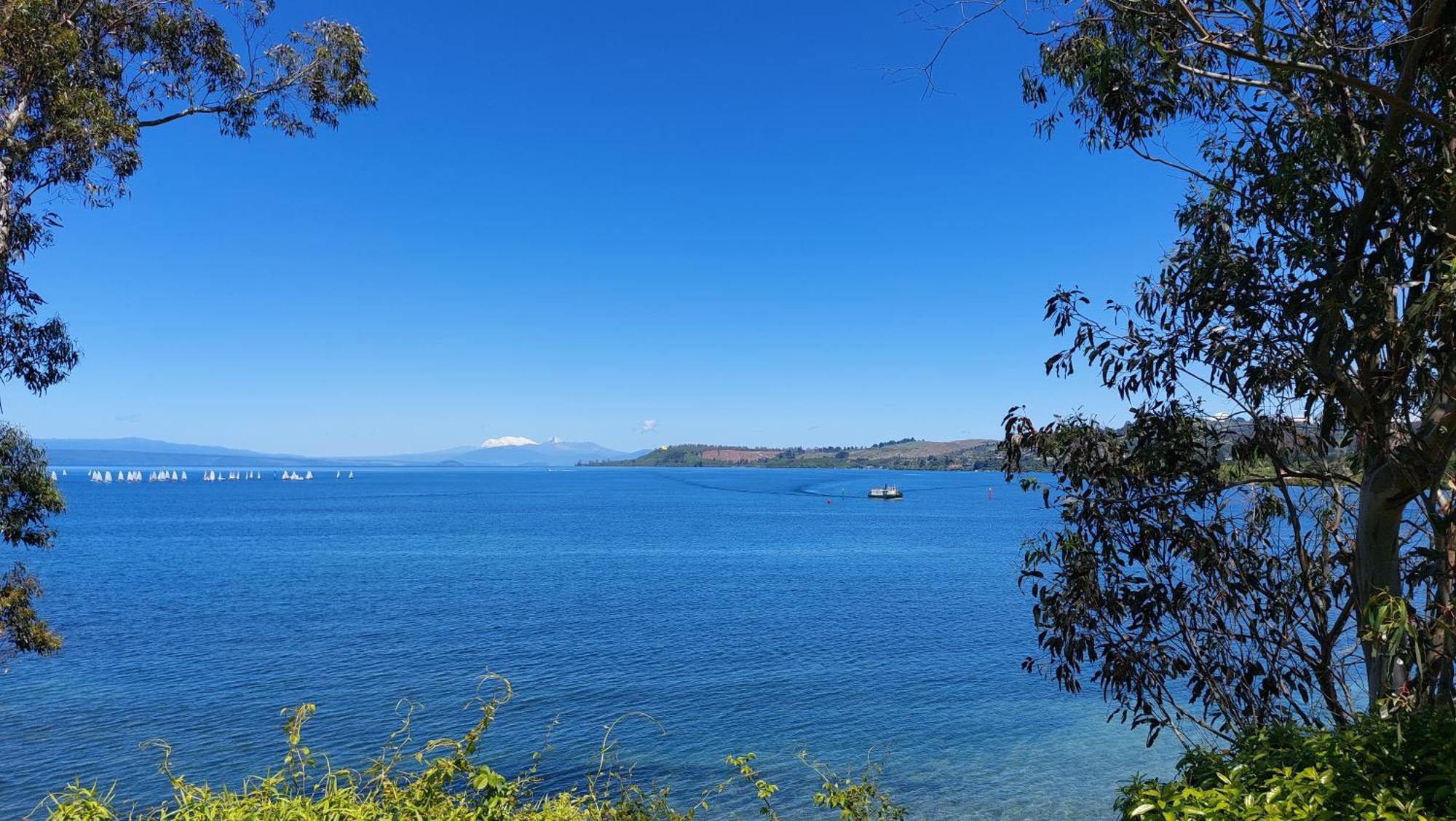 Bed And Breakfast Happy Home Taupo Accommodation Eksteriør billede